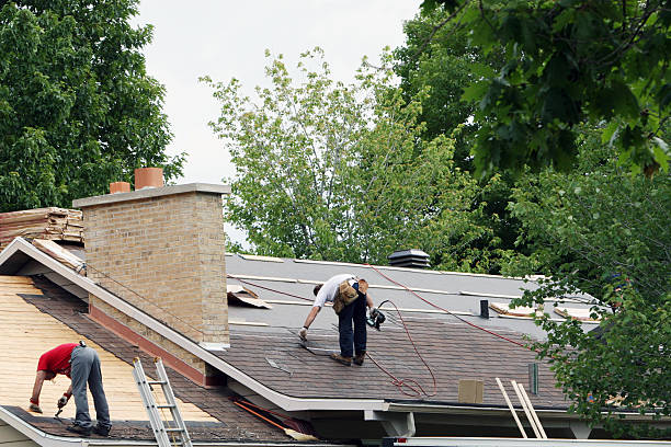 Best Shingle Roofing Installation  in Springerville, AZ